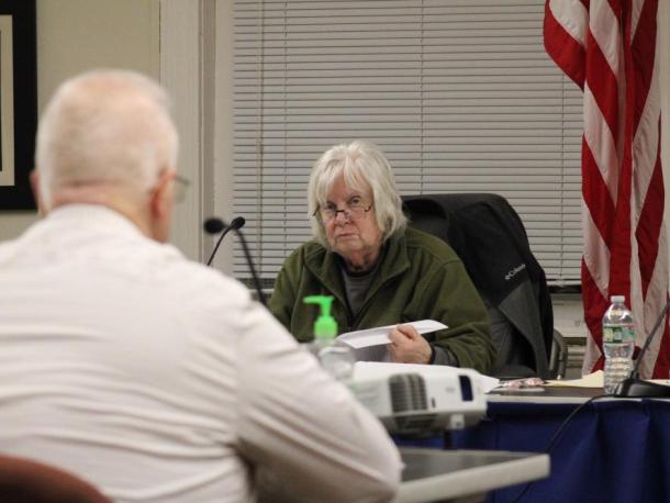 Chair of the Conservation Commission, Sandra Slavin, speaks to the group with Safe Harbor Marinas. Photo by Brandy Muz