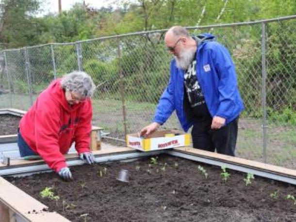 Dixie and Matthew Hill work in their community garden bed at Damien’s Pantry in 2024. File photo