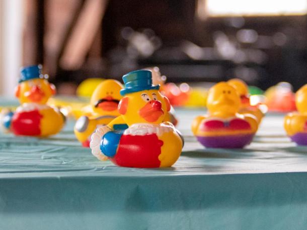 A very patriotic duck looks ready to race in 2025. File photo